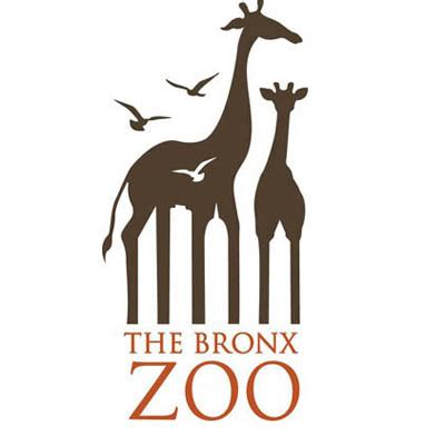 bronx zoo job application.